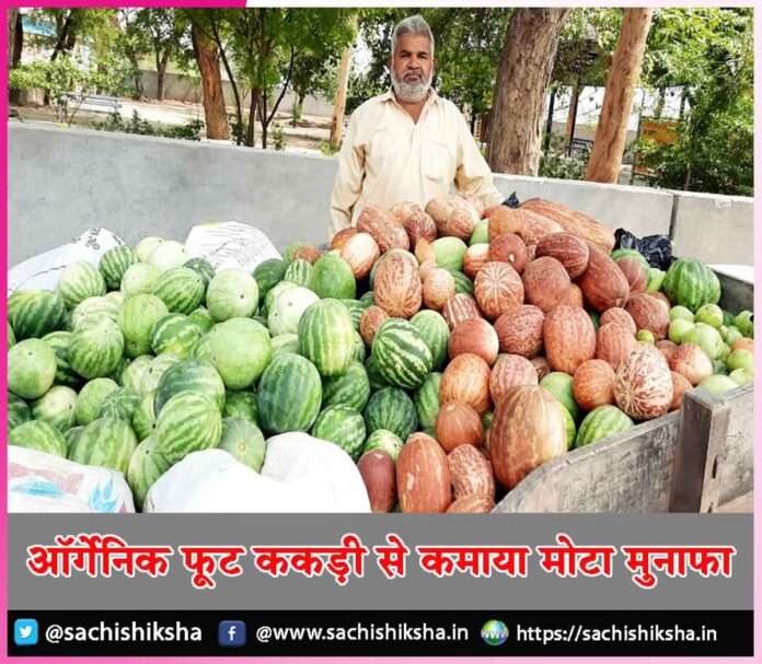 organic cucumber -sachi shiksha hindi