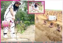 Dera Sacha Sauda millions trees -sachi shiksha hindi