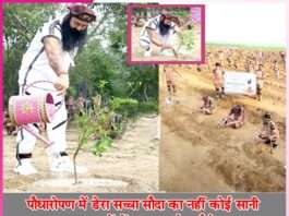 Dera Sacha Sauda millions trees -sachi shiksha hindi