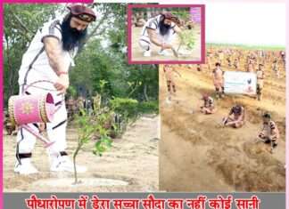 Dera Sacha Sauda millions trees -sachi shiksha hindi