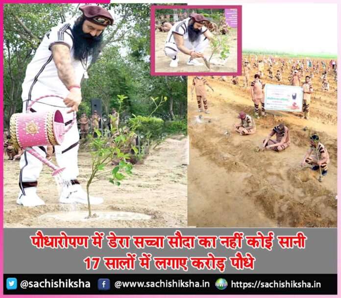 Dera Sacha Sauda millions trees -sachi shiksha hindi