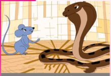 Rat and Snake