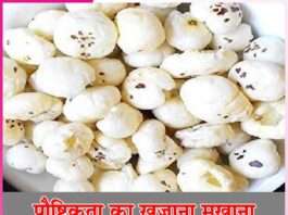 Makhana Benefits