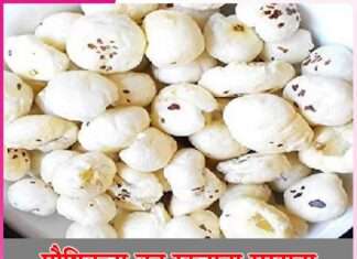 Makhana Benefits