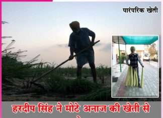 Coarse grain cultivation