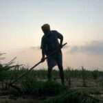 bathinda-7