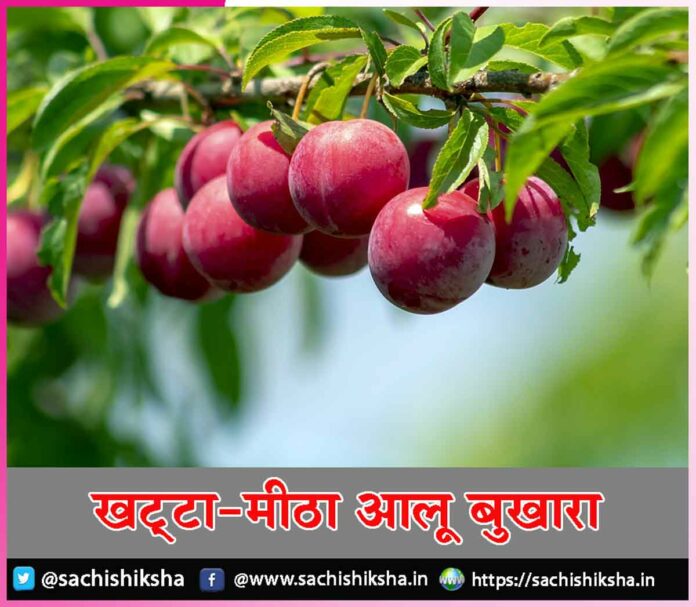 Aloo Bukhara Benefits