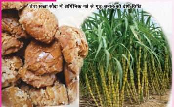 Everyone is crazy about the sweetness of organic jaggery