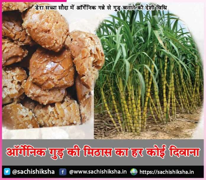 Everyone is crazy about the sweetness of organic jaggery