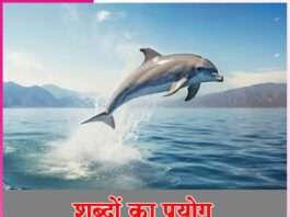 Meaning of words