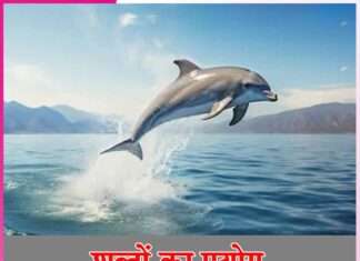 Meaning of words