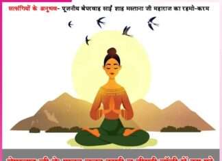 experiences of satsangis