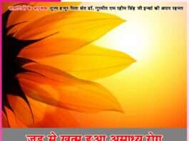 Experiences of the Devotess