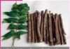 Neem toothbrush