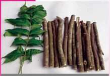 Neem toothbrush