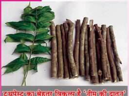 Neem toothbrush