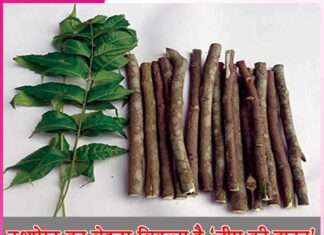 Neem toothbrush