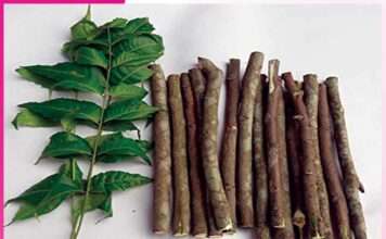 Neem toothbrush