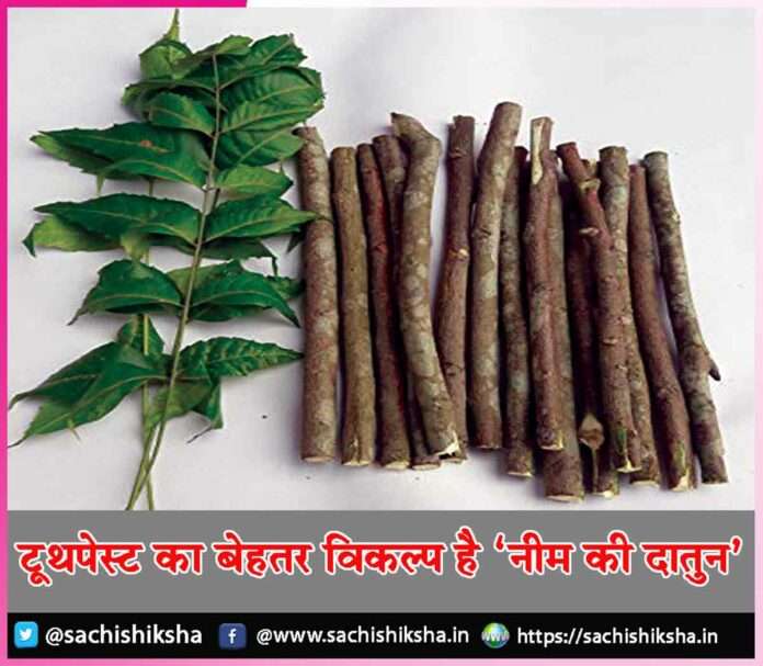 Neem toothbrush