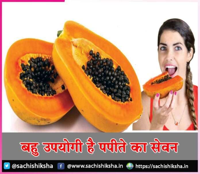 papaya