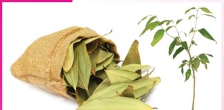 Bay leaves