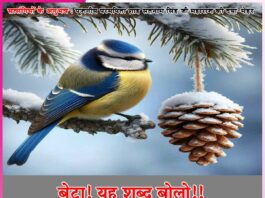 Experiences of Satsangis