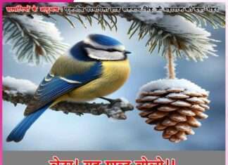 Experiences of Satsangis