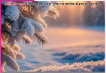 Experiences of Satsangis