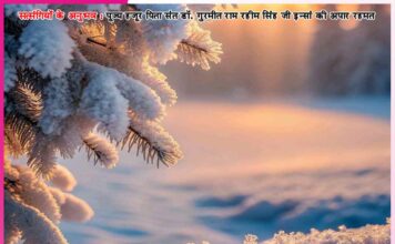 Experiences of Satsangis