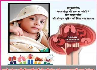 kidney