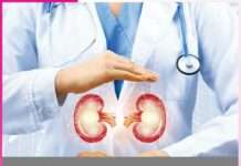 kidney