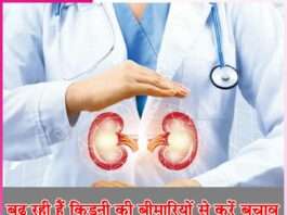 kidney