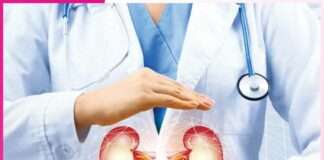kidney