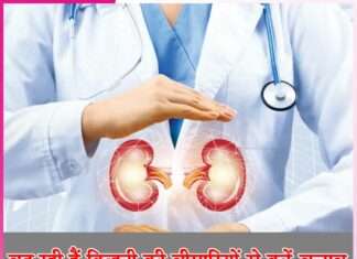 kidney