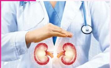 kidney