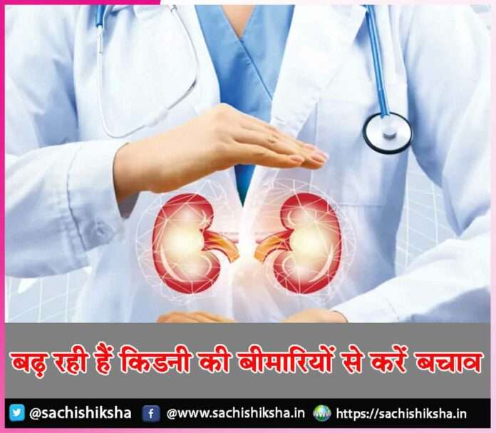 kidney