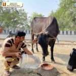 welfare work (1)