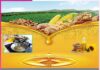 Cooking oil