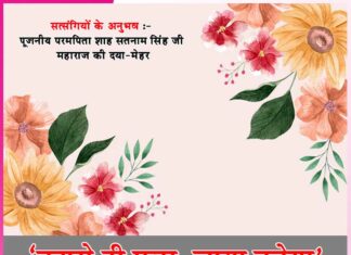 Experiences of Satsangis