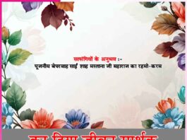 Experiences of Satsangis