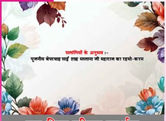 Experiences of Satsangis