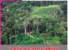 Rainforest: प्रकृति का उपहार वर्षावन Rainforest