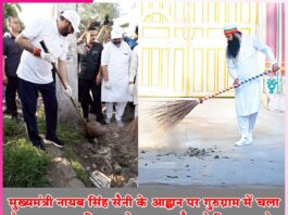 Mega Cleanliness Campaign