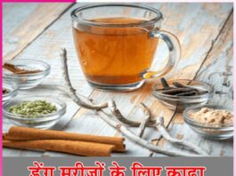 Herbal decoction: डेंगू मरीजों के लिए काढ़ा Herbal decoction