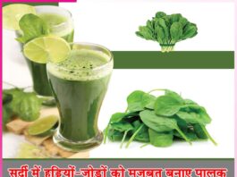 Paalak: सर्दी में हड्डियों-जोड़ों को मजबूत बनाए पालक Paalak