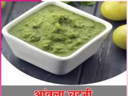 Amla Chutney: आंवला चटनी Amla Chutney