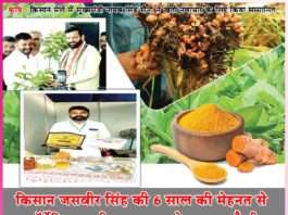 किसान जसवीर सिंह की 6 साल की मेहनत से ऑर्गेनिक हल्दी का हब बनने लगा नागौकी Organic Turmeric