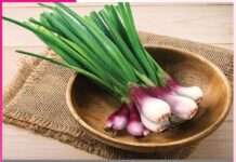 पौष्टिकता से भरपूर होता है हरा प्याज Green onions