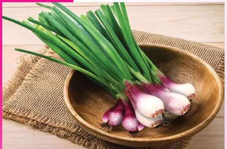 पौष्टिकता से भरपूर होता है हरा प्याज Green onions