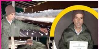 Mushroom Farmers: डीजल मैकेनिक से बना मशरूम उत्पादन में प्रगतिशील किसान Mushroom Farmers